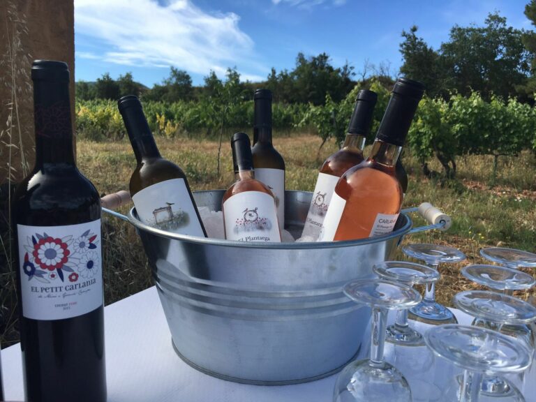 Carlania Cata 768x576