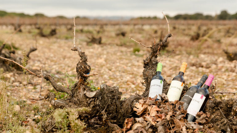 JAVIERSANZSORTEO 768x432