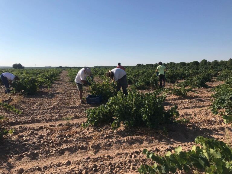 javier sanz1 768x576