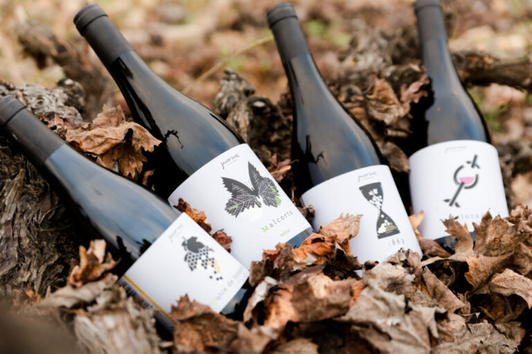 javier sanz5 768x512