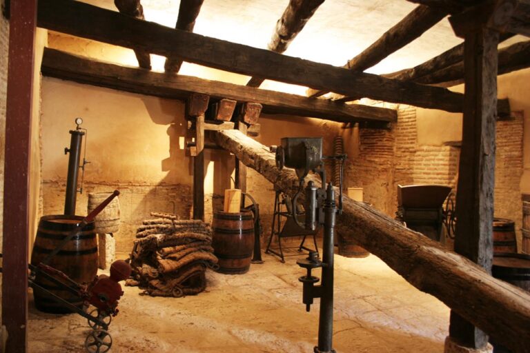 javiersanzinst 768x512