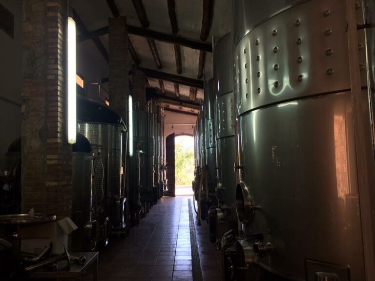 masforaster7 768x576