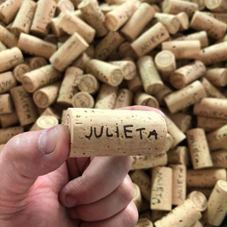 masforasterinst1 768x768