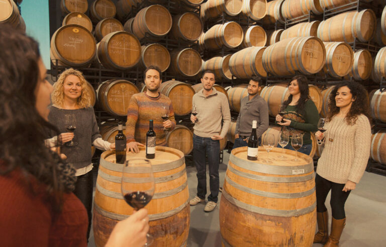 masroig enoturisme 1 768x491