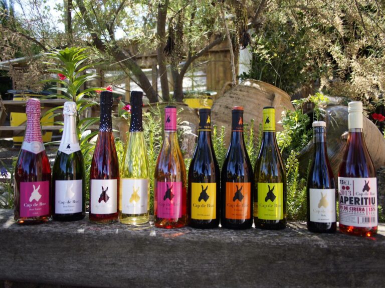 ronadelles12 768x576