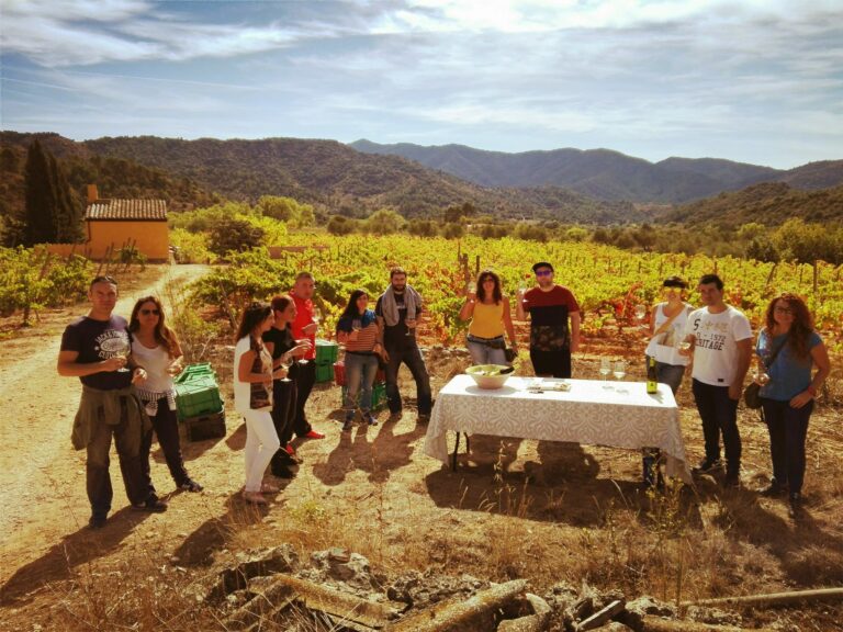 ronadelles16 768x576