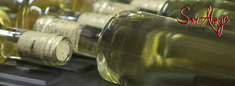 son alegre ampolles 768x281