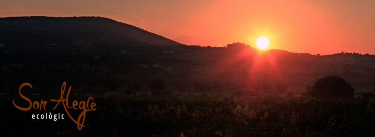 son alegre posta sol 768x281