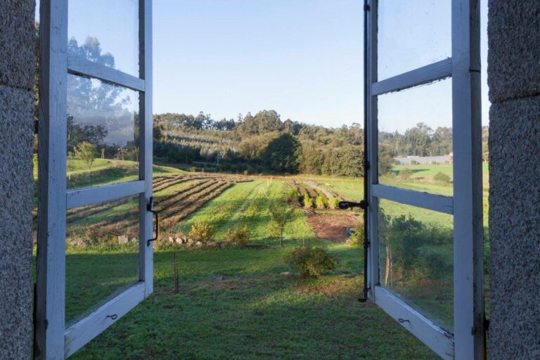 27024032 1478304735621914 8590314380374184366 o 768x512