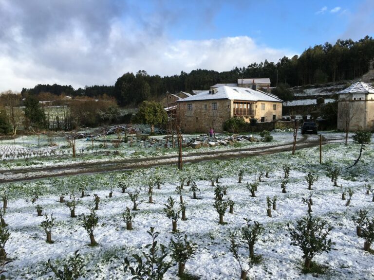 27624657 1491172441001810 6253467093888380897 o 768x576