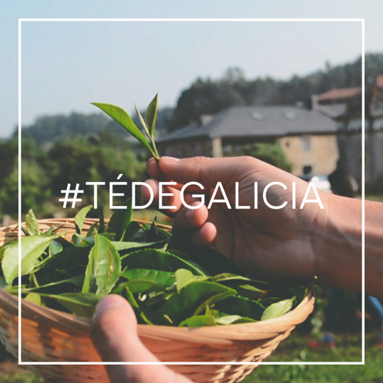 36726582 1651393008313085 420280923783692288 n 768x768