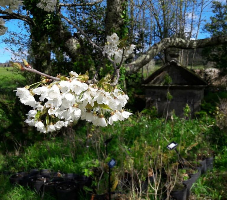 56830185 10216756140968080 2299652732979511296 n 768x676