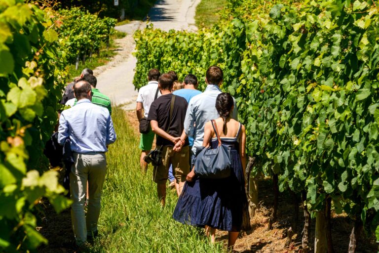 Hiruzta Visitas guiadas 768x512