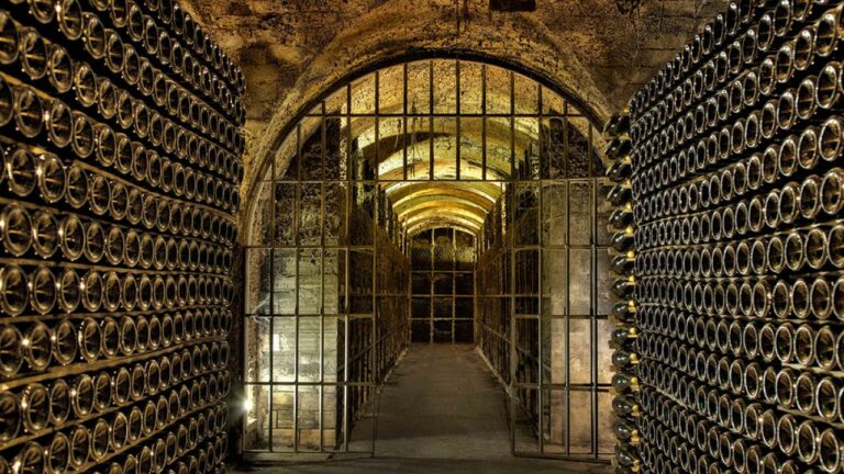 SEGURA VIUDAS 3 768x432