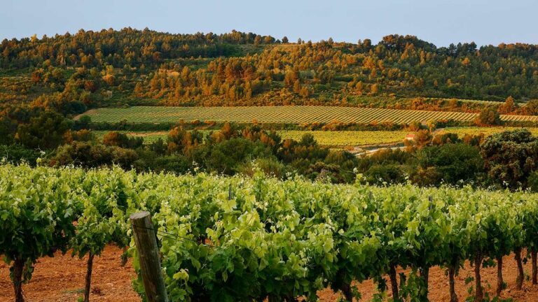 SEGURA VIUDAS 4 768x432