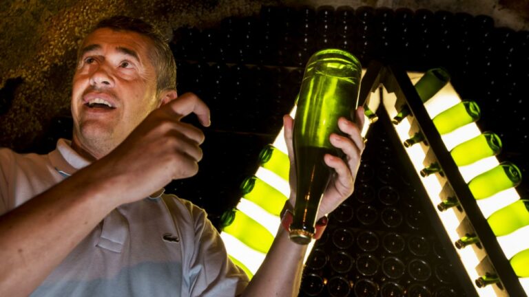 SEGURA VIUDES 5586 768x432