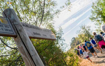 El Camino Santiago alternativo que pasa por la Rioja Alavesa