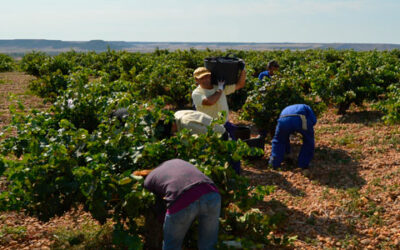 Treinta rutas del vino, treinta propuestas