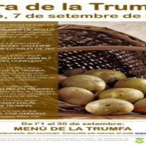 evento septiembre 4