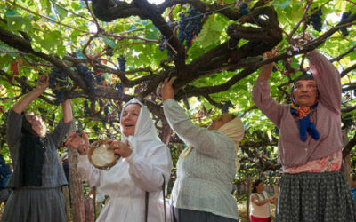 Madeira y su Wine Festival