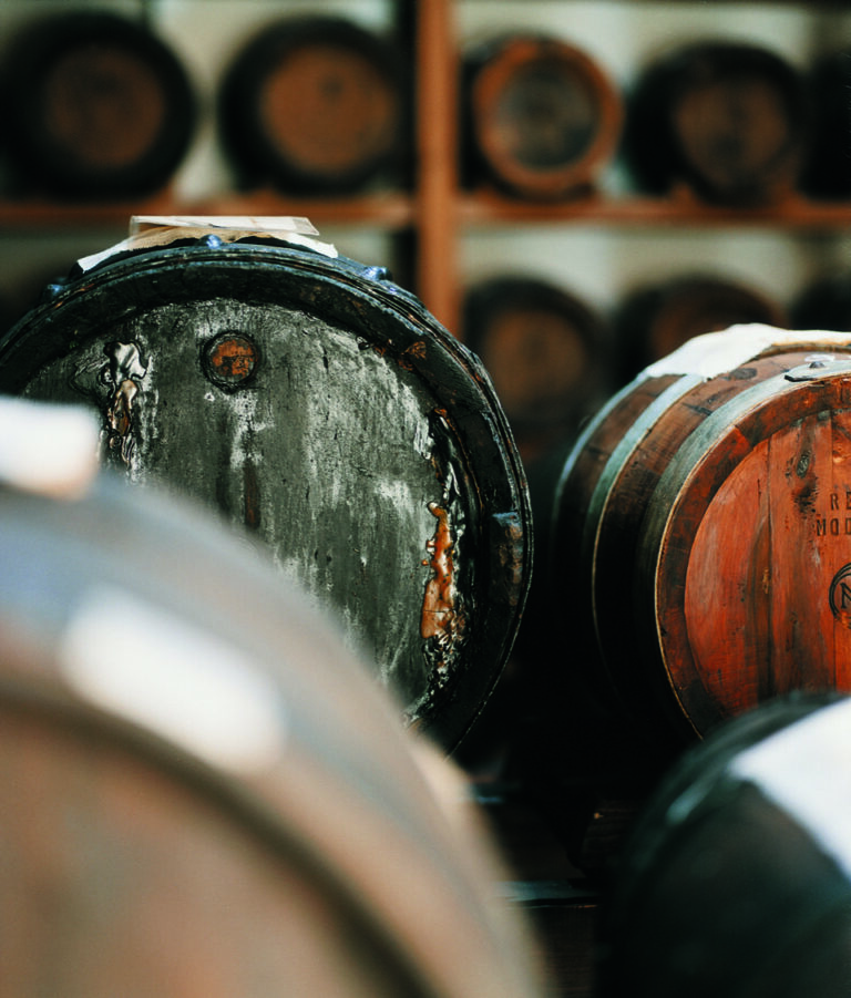 11 A. Balsamico 768x901