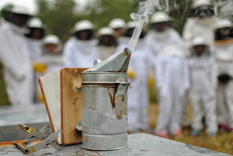 IMG 20170605 110910 714 768x514