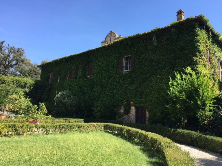 WhatsApp Image 2019 09 11 at 09.05.57 768x576