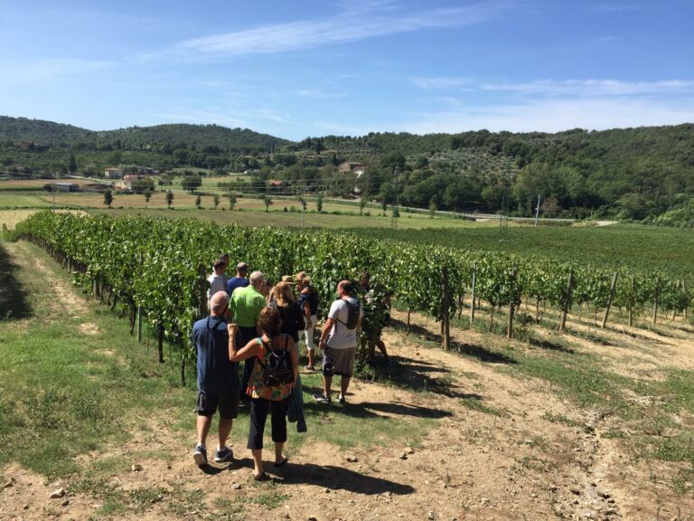 WhatsApp Image 2019 09 11 at 09.06.01 768x576