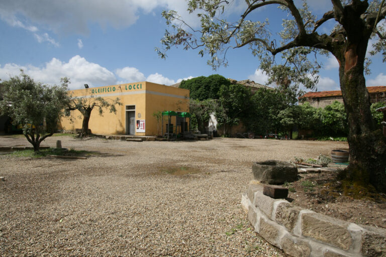 b 20 cortile 768x512