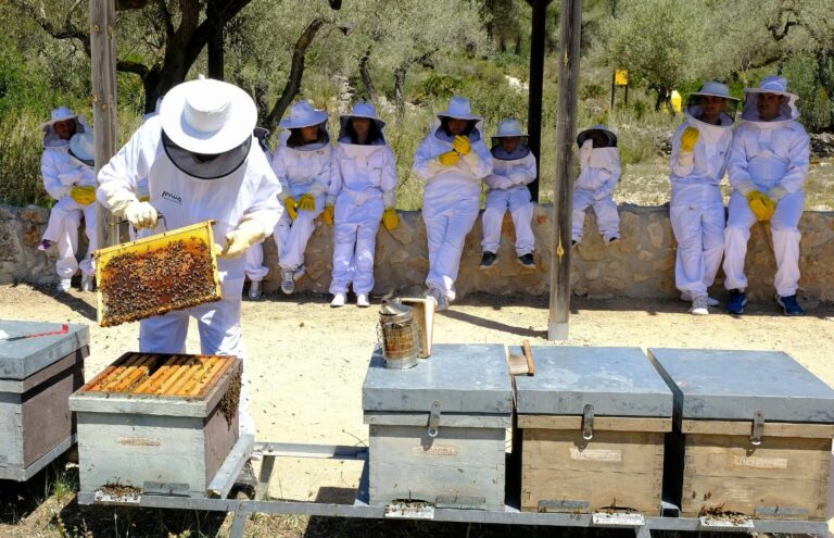 dab579b1 9895 49b6 a9a2 5a20c2f35b43 768x495