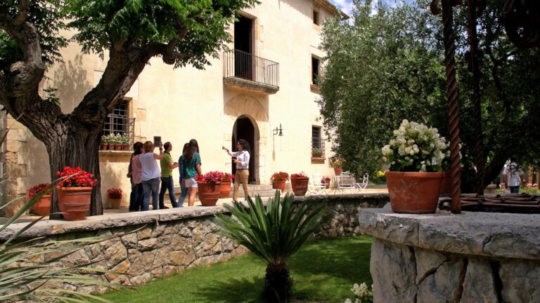 Oriol rossell 6 768x432