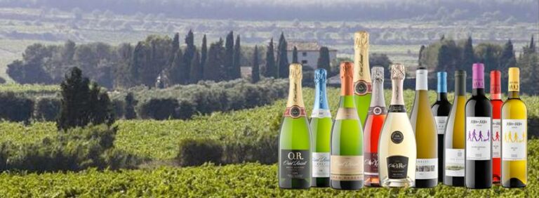 Oriol rossell 7 768x282