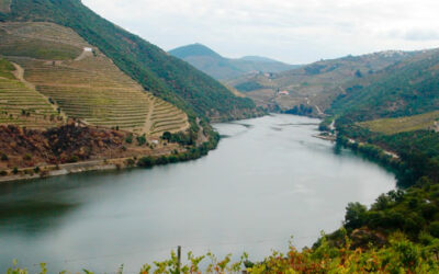 Una escapada a Oporto