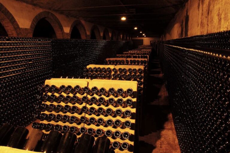 oriol rossell bodega 3 768x511