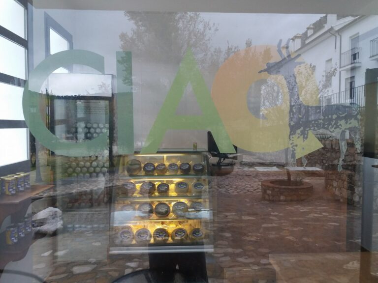 15289302 339963543049663 776876590522421686 o 768x576