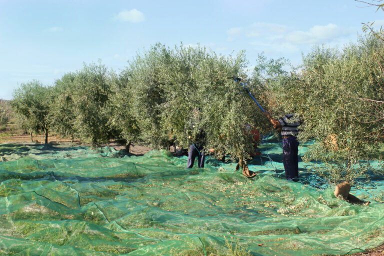 2012 11 08 10.36.05 768x512