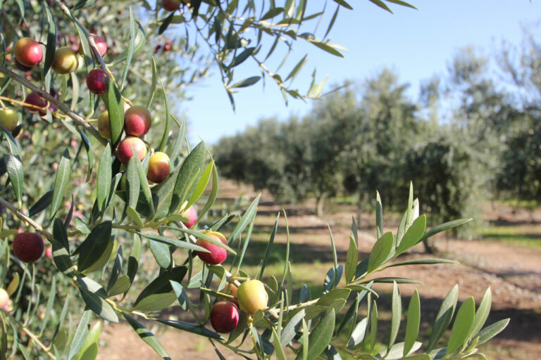 2012 11 08 10.58.36 768x512