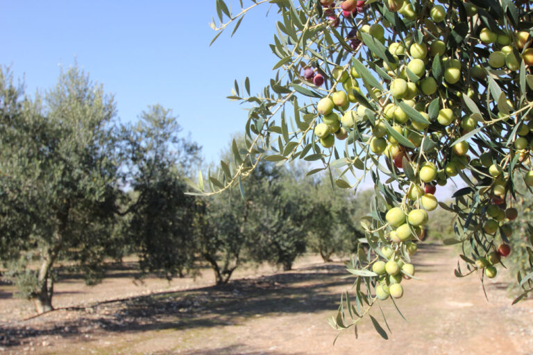 2012 11 08 11.241 768x512