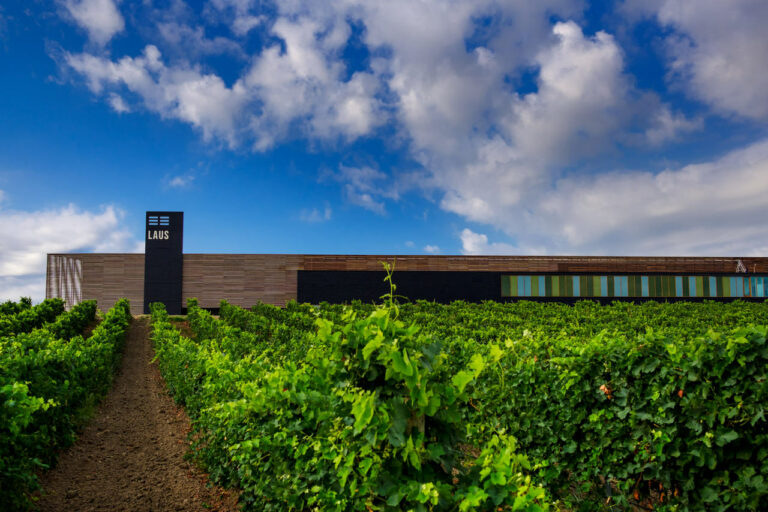 067 laus Easy Resize.com  768x512