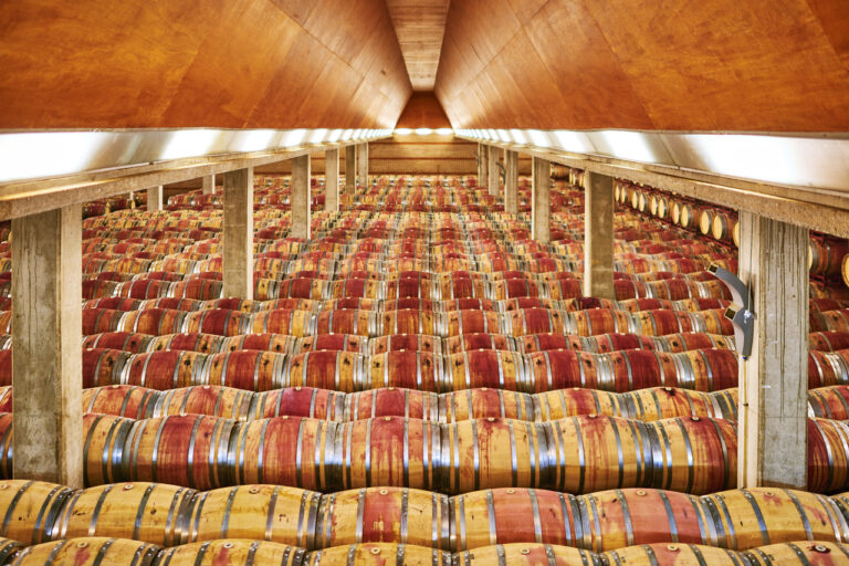 DSC4062 Easy Resize.com  768x512