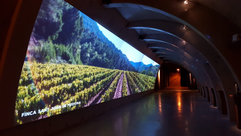 20150723 125103 768x432