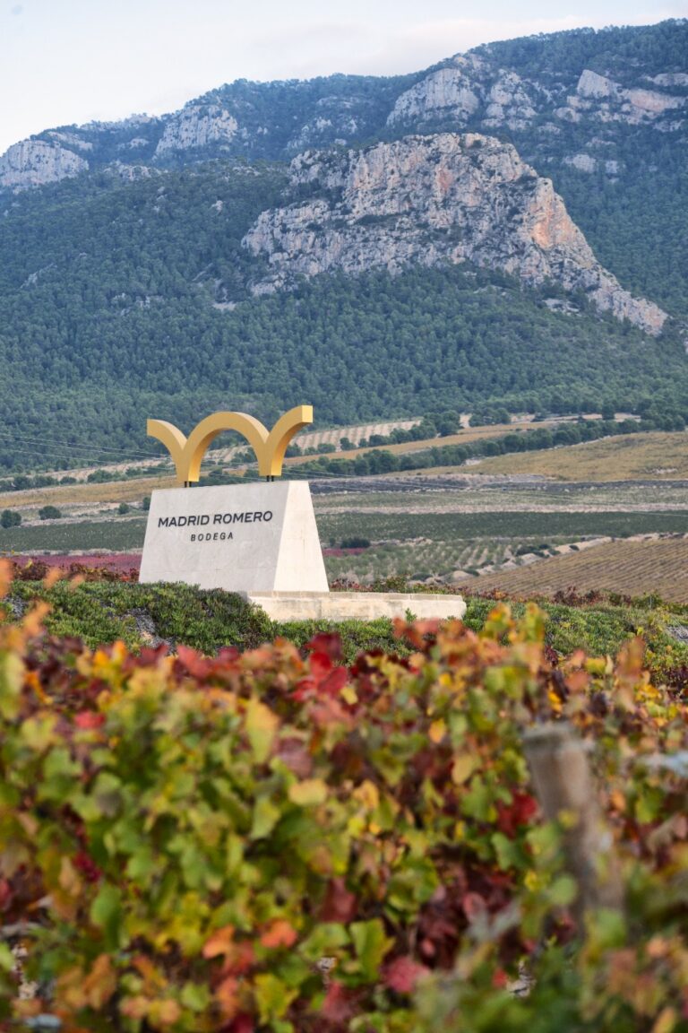 967e53d6 b08f 4172 aee2 ea76afbd8532 768x1152