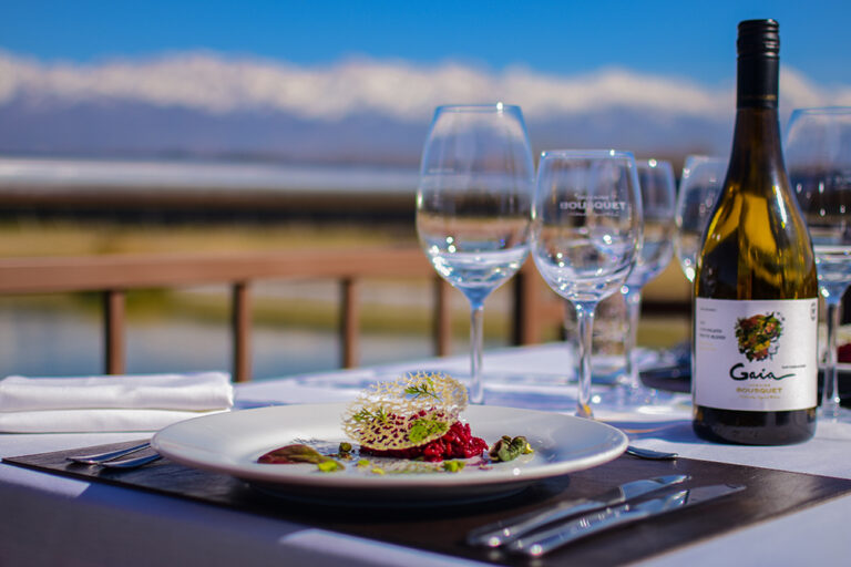 Gaia Domaine Bousquet 2 768x512