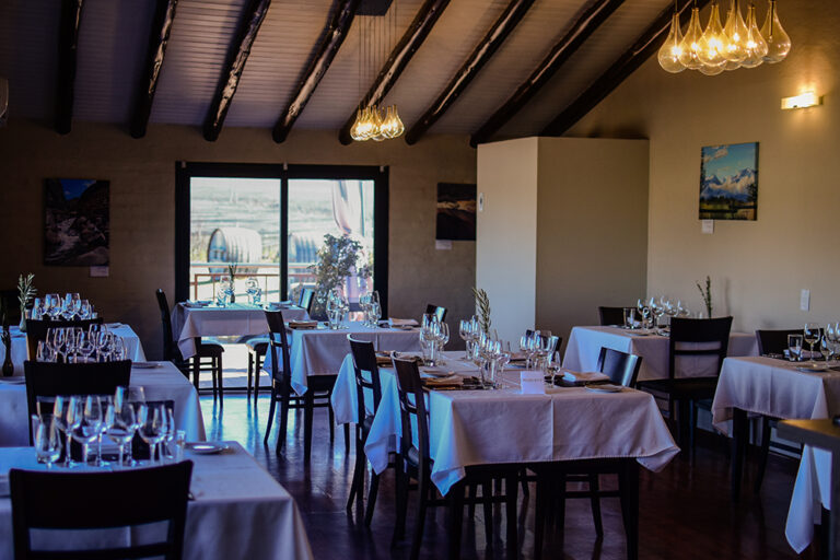 Gaia Domaine Bousquet 3 768x512