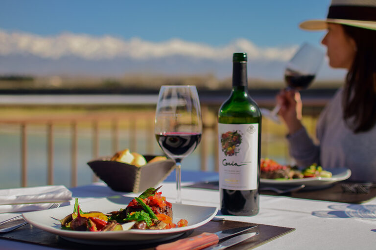 Gaia Domaine Bousquet 768x512