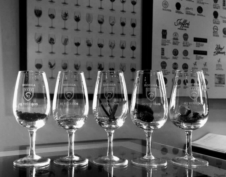 IMG 20170913 WA0000 3 768x603