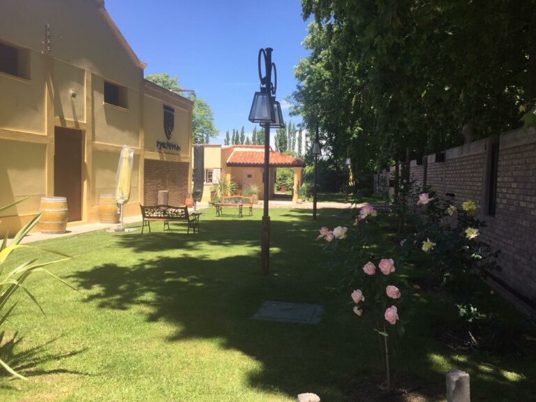 IMG 20181102 WA0003 768x576