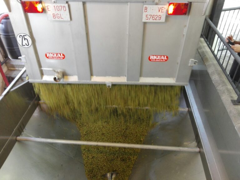 IMG 20180906 104335 resized 20180906 114037830 768x576