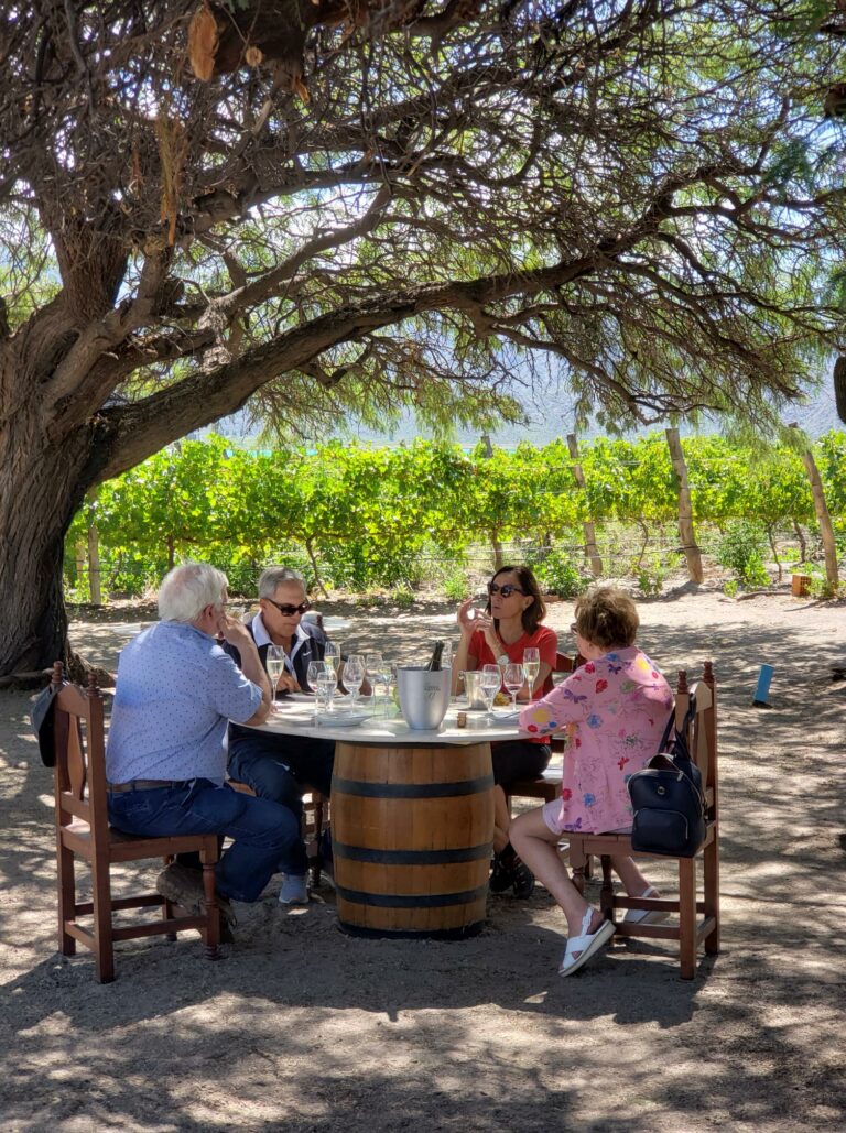 Picada con Ana Inés 768x1029