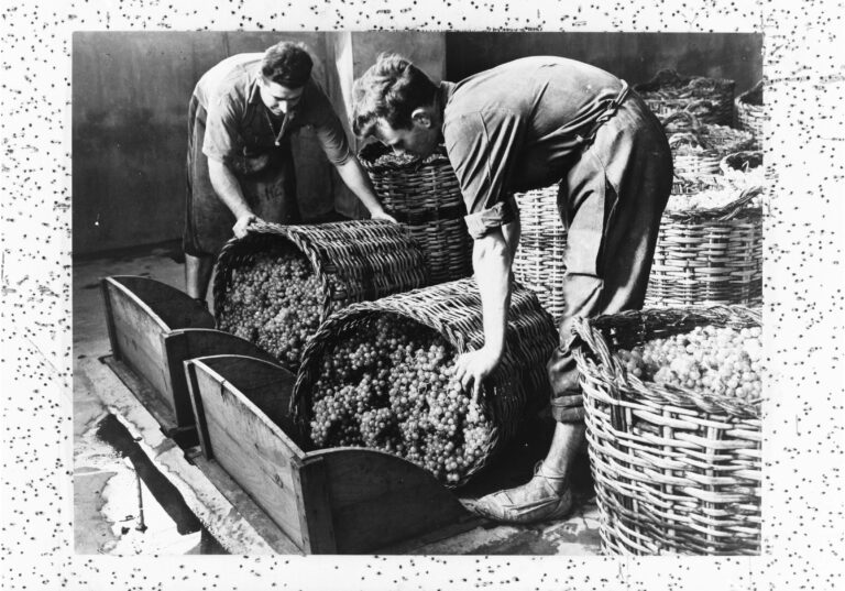 Raim entrada.cap  768x537